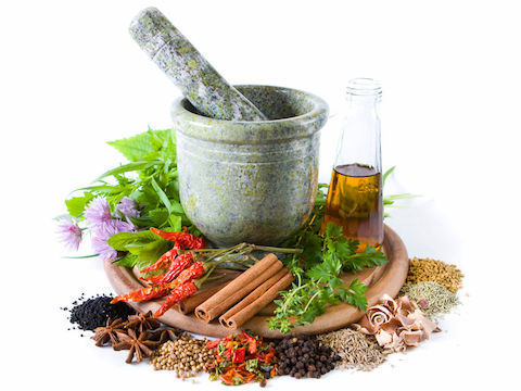 توسعه ۳۰۰ هزار هکتاری گیاهان دارویی در برنامه هفتم توسعه