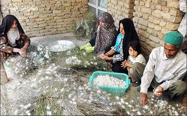 سرمایه گذاری ۸۰ همتی دولت در بخش روستایی/ ایجاد ۶۷۰ هزار شغل