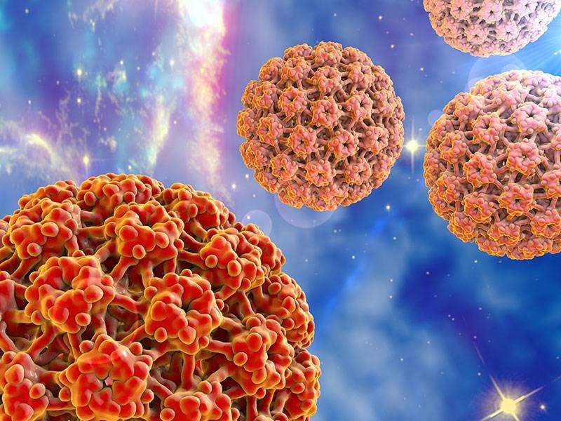 سرطان‌های شایع در مردان و زنان ایرانی کدامند؟