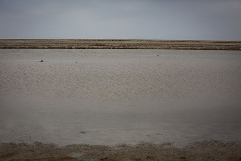 تالاب گاو خونی اصفهان