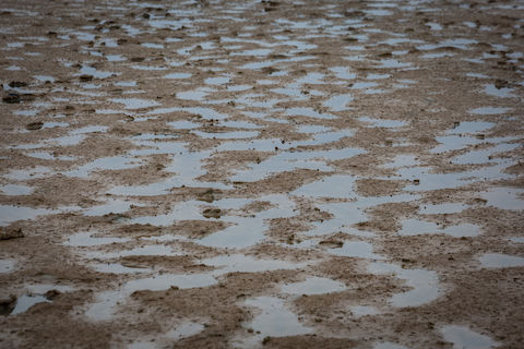 تالاب گاو خونی اصفهان