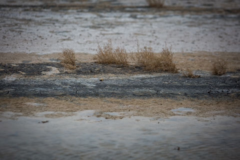 تالاب گاو خونی اصفهان