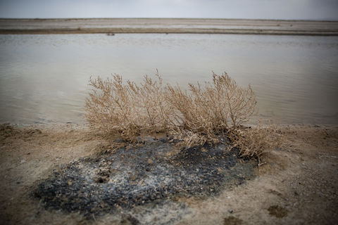 تالاب گاو خونی اصفهان