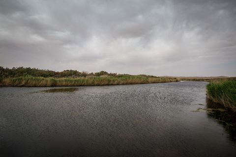 تالاب گاو خونی اصفهان