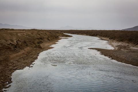 تالاب گاو خونی اصفهان