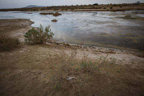 تالاب گاو خونی اصفهان