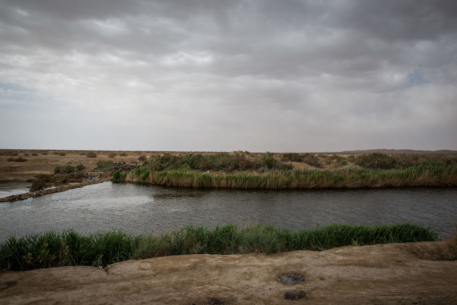 ۲۰ بال فلامینگو در تالاب گاوخونی مشاهده شد