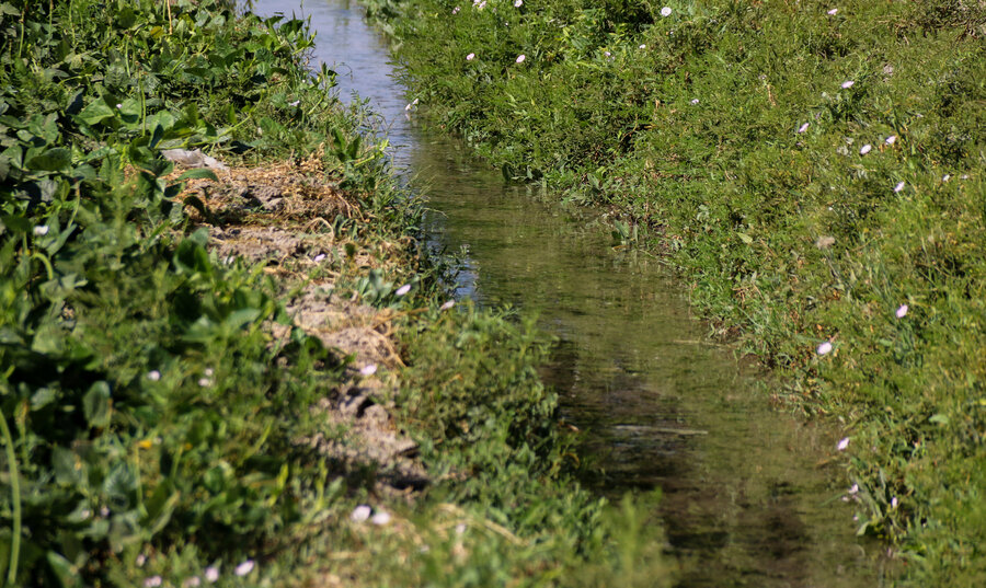 مبارکه 5.3 درصد از اراضی کشاورزی اصفهان را داراست