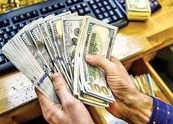 افزایش قیمت دلار چه تبعاتی را به دنبال دارد؟/ کاهش ارزش ریال فرصتی مناسب برای صادرات است