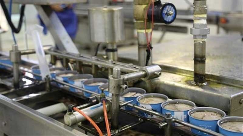 کنسرو ماهی هم به تور دلار افتاد/ سایه سنگین تعطیلی برکارخانه‌های تولید کنسرو