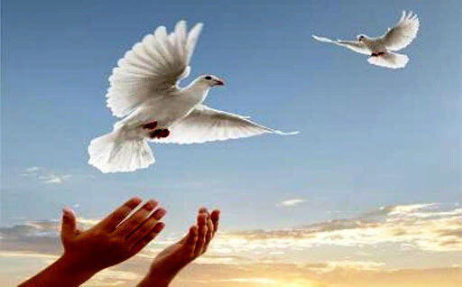 کمک ۱۰۱ میلیارد ریالی مردم اصفهان برای  آزادی ۹۶ زندانی جرایم غیرعمد