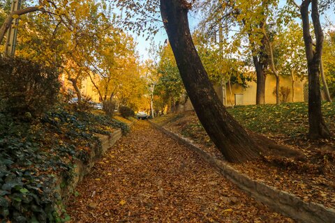 پاییز امسال، گرمتر از حالت عادی است/ احتمال کاهش ۳۰ درصدی بارش‌ها