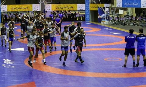 رنگرز فرنگی‌کاران را به خط کرد