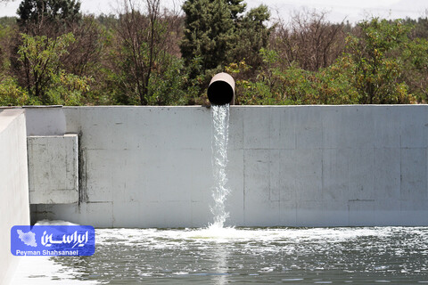 تشریح اقدام های زیست محیطی شرکت فولادمبارکه در مسیر صنعت سبز در گفتگوی خبری اینترنتی