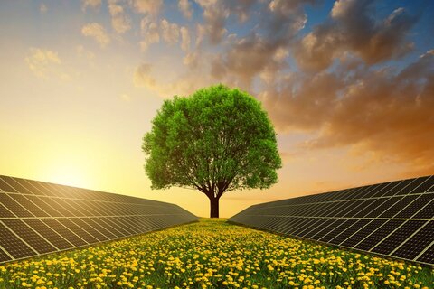 گام ساتبا برای تسهیل سرمایه‌گذاری