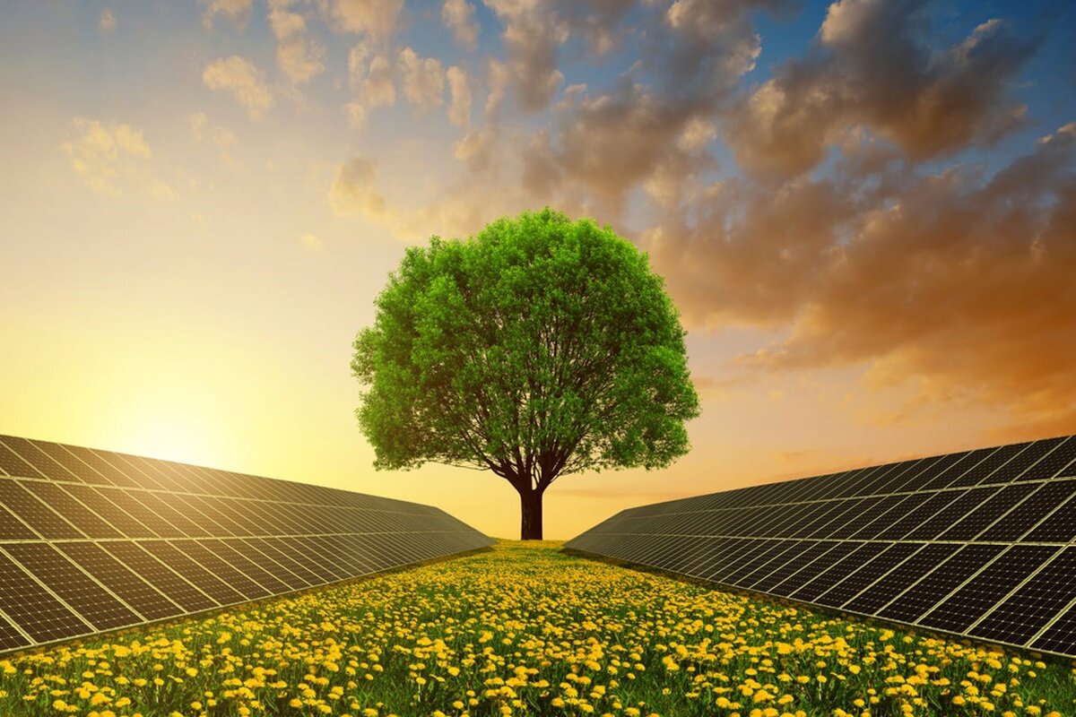 گام ساتبا برای تسهیل سرمایه‌گذاری 