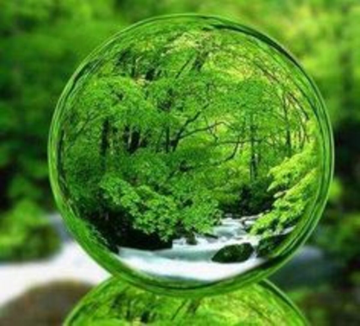 ۱۳ راهبرد کلان ملی و ۴۶ اقدام فرابخشی برای چالش‌های محیط‌زیستی کشور ارایه شد