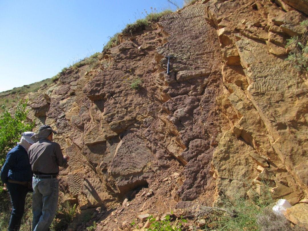 پایان مرحله چهارم برداشت‌های میدانی ورقه‌های زمین‌شناسی کاربردی منطقه شمال شرق