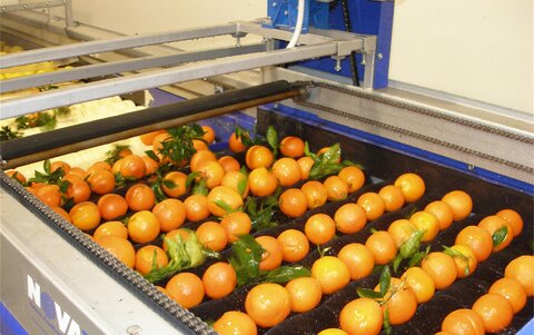 ارزآوری ۳.۸ میلیارد دلاری محصولات کشاورزی تا پایان آذر