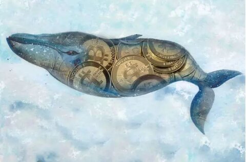 سیگنال مثبت برای بیت‌کوین / نهنگ بازار رمزارزها باز هم بیت‌کوین خرید