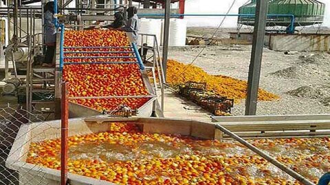 ایجاد صنایع تبدیلی برای تبدیل مواد خام تولیدی ضروری است