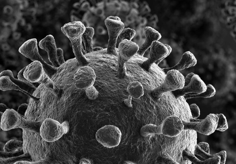 فوت ۸۰۰۰ نفر در ۲۴ ساعت گذشته در جهان