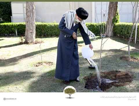 کاشت نهال توسط رهبر معظم انقلاب اسلامی