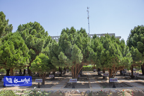 باغچه شخصیتها