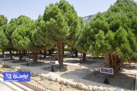 باغچه شخصیتها