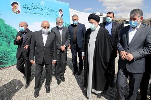 همه مسئولان، کاشت میلیون‌ها درخت در کشور را اجرایی کنند