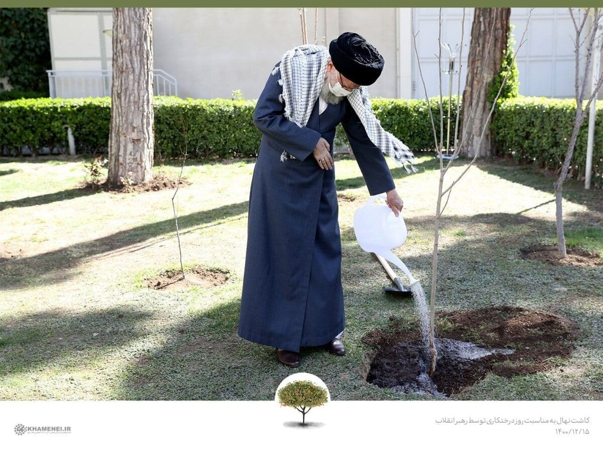 کاشت نهال توسط رهبر معظم انقلاب اسلامی