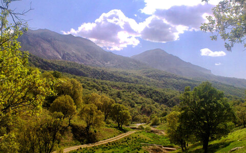 سند احیای جنگل‌های زاگرس تهیه شد