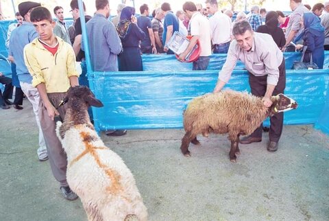 ۳۰ هزار قربانی در سراسر کشور انجام شد