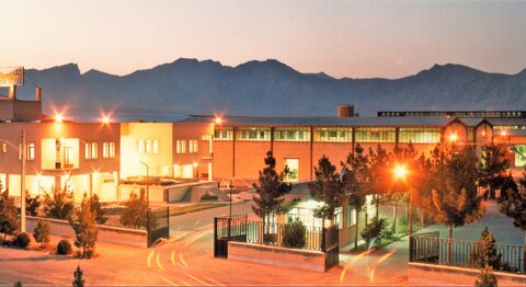 بومی‌سازی، رمز بقای تولید است