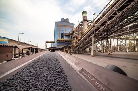 محصول گندله "کگل" پای ثابت بازار داخل و خارج از کشور