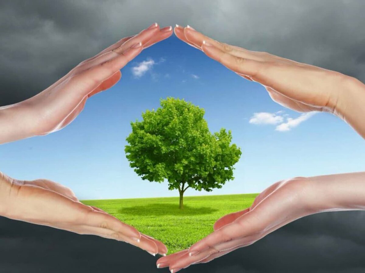 هوای پاک، حقوق عامه و اراده ملی 