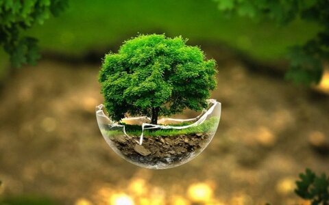 توسعه بخش معدن و صنایع معدنی مستلزم بازنگری در قوانین و دستورالعمل‌هاست/ضرورت معدن‌کاری سبز در کشور