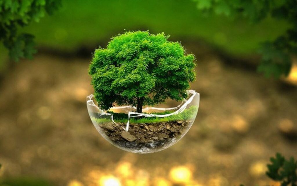 توسعه بخش معدن و صنایع معدنی مستلزم بازنگری در قوانین و دستورالعمل‌هاست/ضرورت معدن‌کاری سبز در کشور