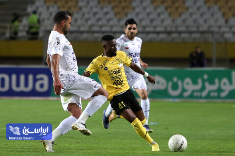 سپاهان - هوادار