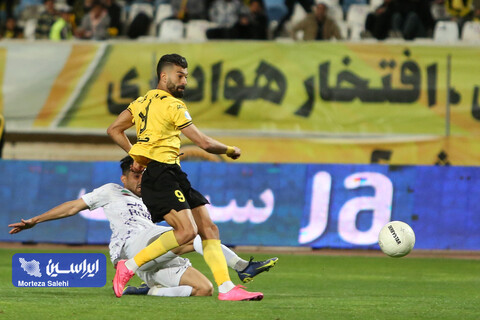 سپاهان - هوادار