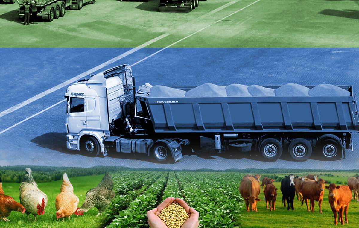 صادرات ۱۰ هزار و ۶۱۱ تن فراورده خام دامی از البرز به خارج از کشور