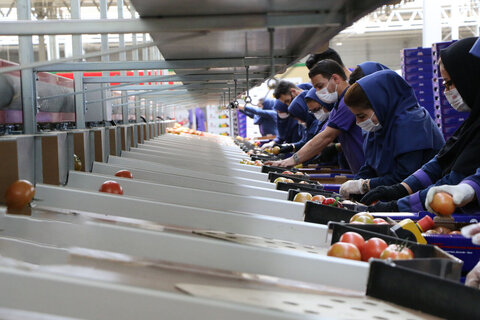 ۵ طرح اشتغال خُرد در کاشان به بهره‌برداری رسید