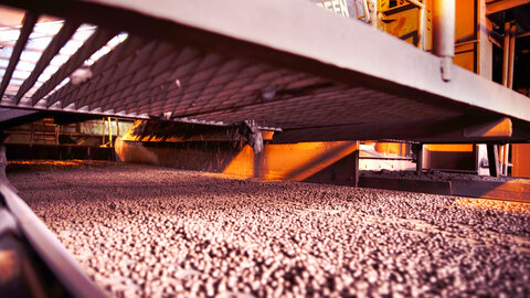 صعود گندله و ثبات کنسانتره در بورس کالا