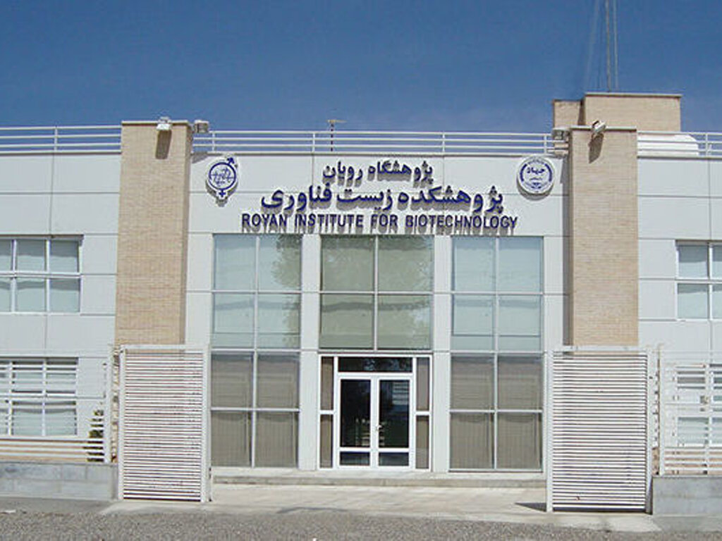  استفاده از الگوی رویان برای جلوگیری از پدیده «مهاجرت نخبگان»  