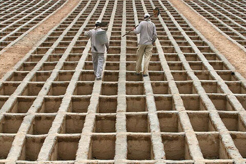 بیشترین و کمترین نرخ فوت در کدام استان‌هاست؟