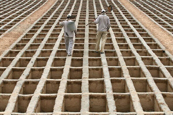  بیشترین و کمترین نرخ فوت در کدام استان‌هاست؟