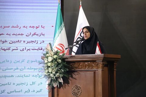 ایمیدرو برای افزایش صادرات زنجیره معدن برنامه‌ای ۵ ساله دارد