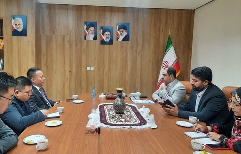 شرکت‌های چینی به‌دنبال توسعه فعالیت در معادن کرمان