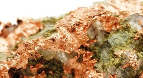 قیام دی‌کاپریو علیه معدن‌کاری در پاناما