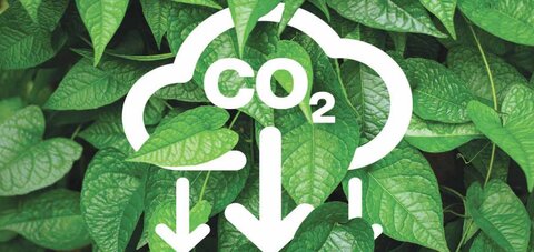 استفاده از سوخت‌های کم‌کربن: گزینه‌ای مؤثر برای کربن‌زدایی در صنعت فولاد